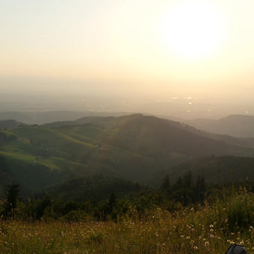 3 1/2 Freiburger Berggeschichten